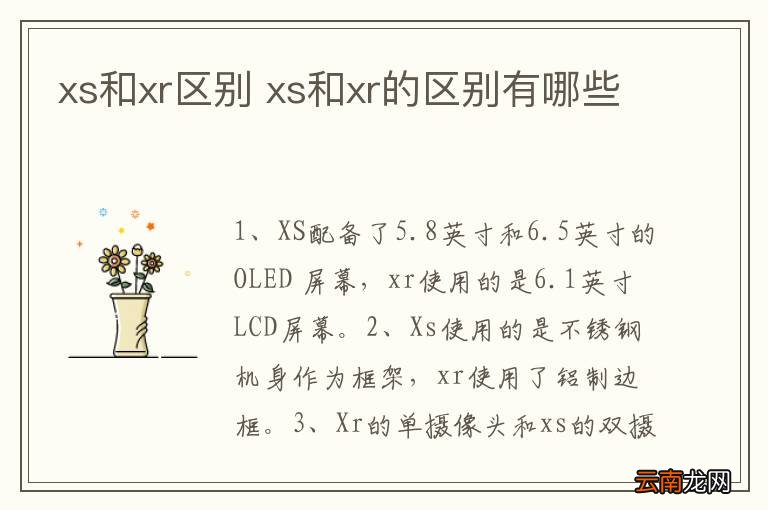 xs和xr区别 xs和xr的区别有哪些