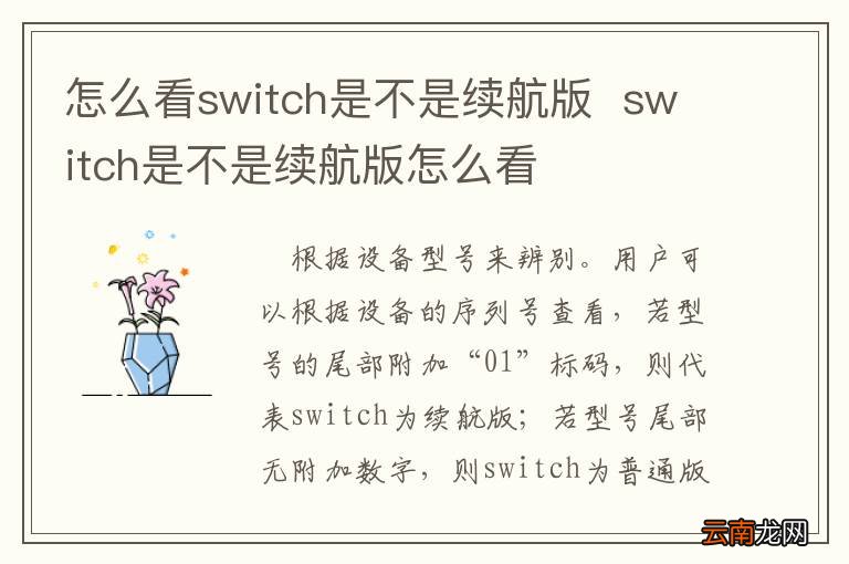 怎么看switch是不是续航版switch是不是续航版怎么看