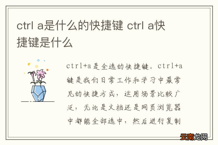 ctrl a是什么的快捷键 ctrl a快捷键是什么