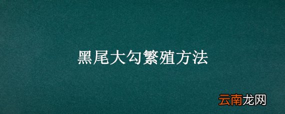 黑尾大勾繁殖方法