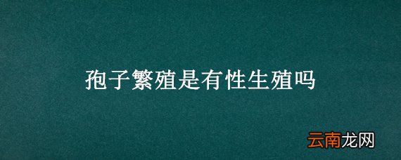 孢子繁殖是有性生殖吗