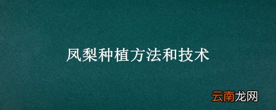凤梨种植方法和技术
