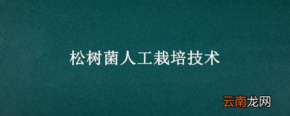松树菌人工栽培技术