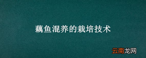 藕鱼混养的栽培技术