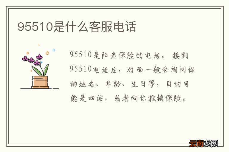 95510是什么客服电话
