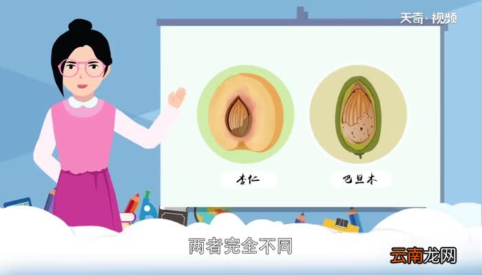巴旦木和杏仁的区别 巴旦木和杏仁有什么不同