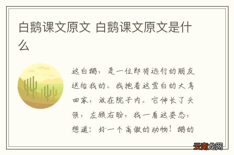 白鹅课文原文 白鹅课文原文是什么