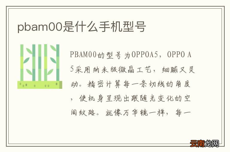pbam00是什么手机型号