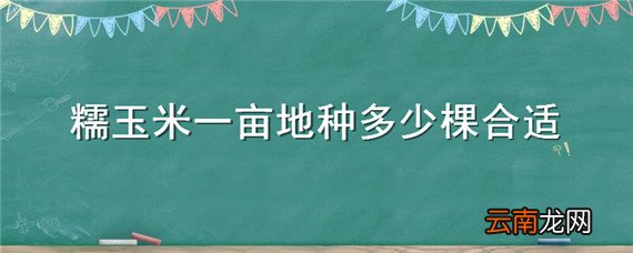 糯玉米一亩地种多少棵合适