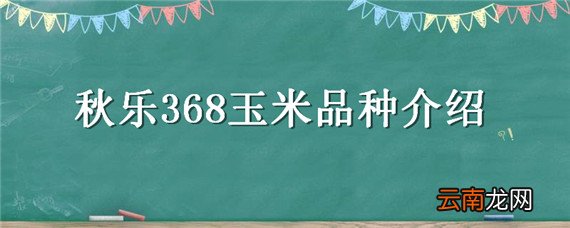 秋乐368玉米品种介绍