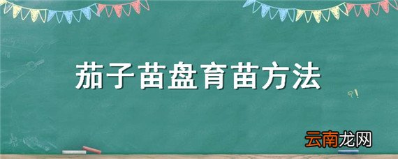 茄子苗盘育苗方法