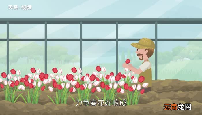 小寒节气的含义 小寒节气的解释