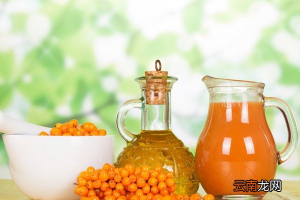 沙棘果油的功效与作用 沙棘果油的功效