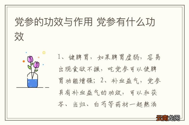 党参的功效与作用 党参有什么功效