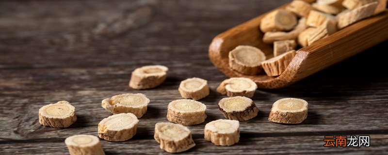 党参的功效与作用 党参有什么功效