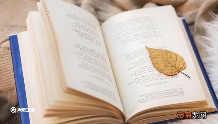 祝福教师节快乐的短句 祝福教师节的话语