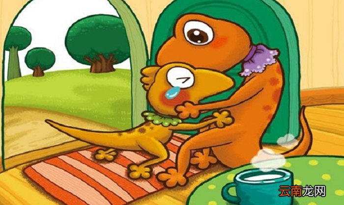 小壁虎借尾巴的故事 小壁虎借尾巴的故事文字