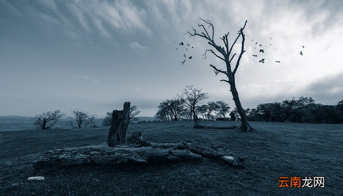 天净沙·秋思的翻译 天净沙·秋思的译文