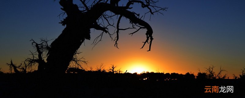 天净沙·秋思的翻译 天净沙·秋思的译文