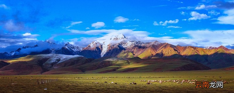 从军行前两句主要描写了边塞什么的环境 从军行前两句主要描写的边塞环境