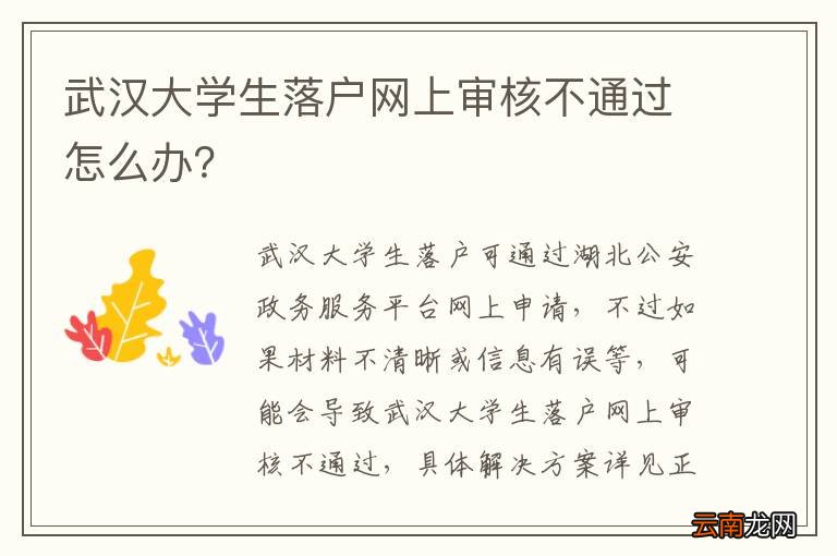 武汉大学生落户网上审核不通过怎么办？