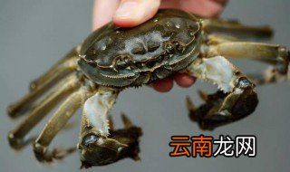 海蟹怎么储存 海蟹如何储存