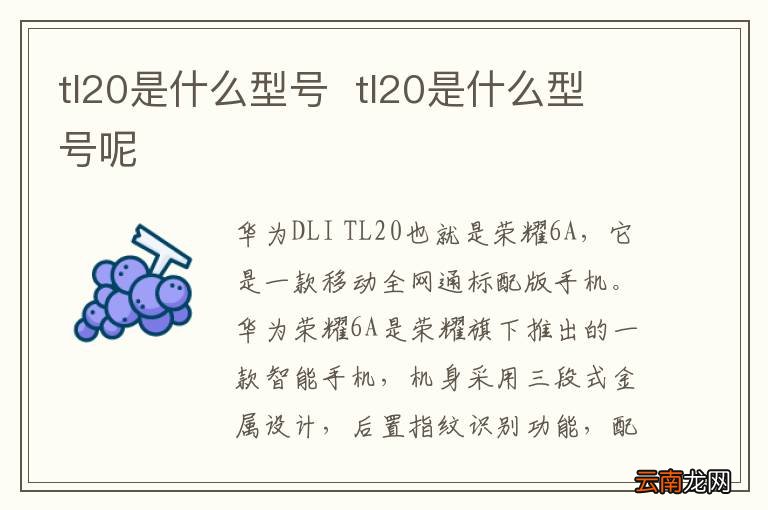 tl20是什么型号tl20是什么型号呢