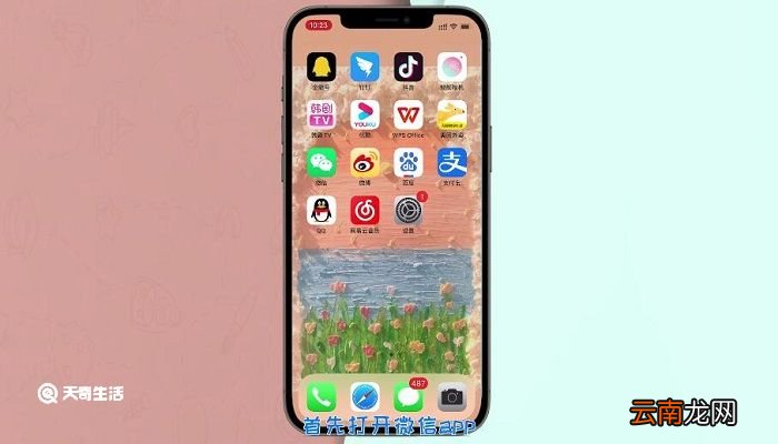 微信怎么开启面容支付 苹果手机微信怎么开启面容支付