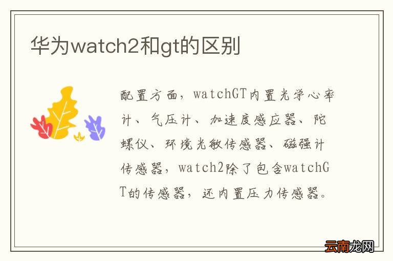 华为watch2和gt的区别