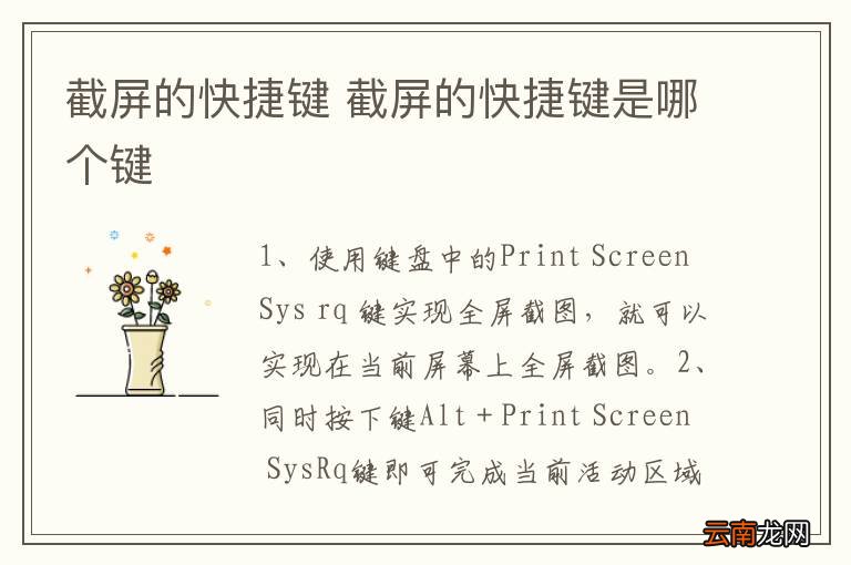 截屏的快捷键 截屏的快捷键是哪个键