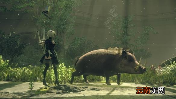 尼尔机械纪元怎么刷经验？尼尔机械纪元轻松刷经验技巧