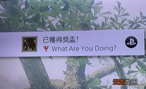 尼尔机械纪元What are you doing成就获得方法攻略