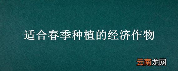 适合春季种植的经济作物