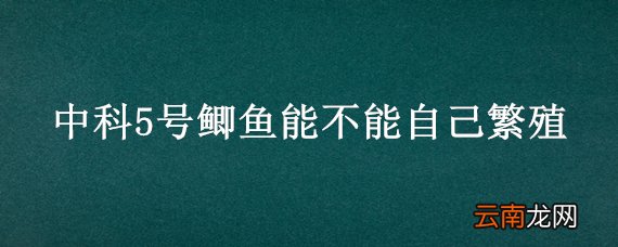中科5号鲫鱼能不能自己繁殖