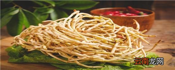 折耳根大棚种植技术