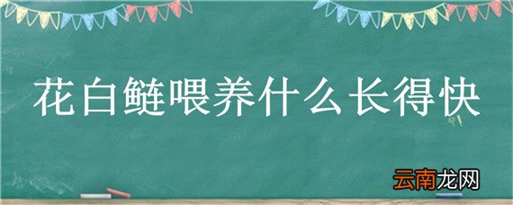 花白鲢喂养什么长得快