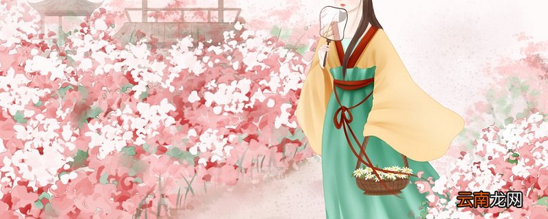 红楼梦秦雯人物简介 红楼梦晴雯简介