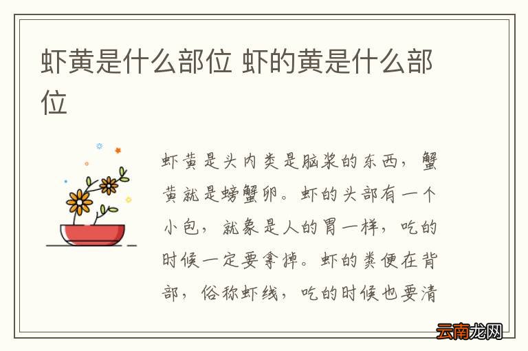 虾黄是什么部位 虾的黄是什么部位