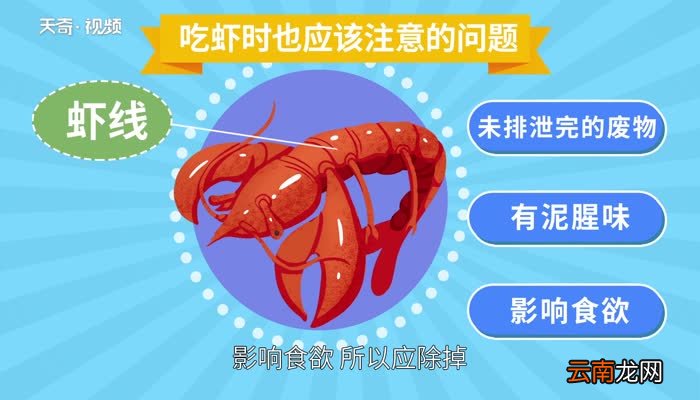 虾黄是什么部位 虾的黄是什么部位