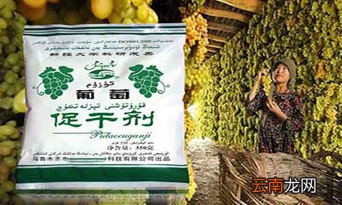 促干剂是什么东西 食品促干剂成分