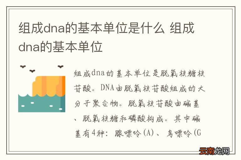 组成dna的基本单位是什么 组成dna的基本单位