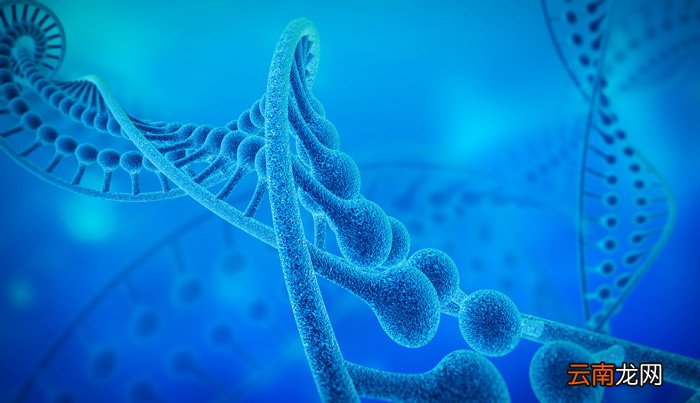 组成dna的基本单位是什么 组成dna的基本单位