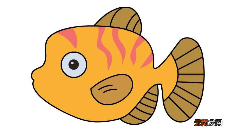 小丑鱼简笔画的画法小丑鱼简笔画怎么画
