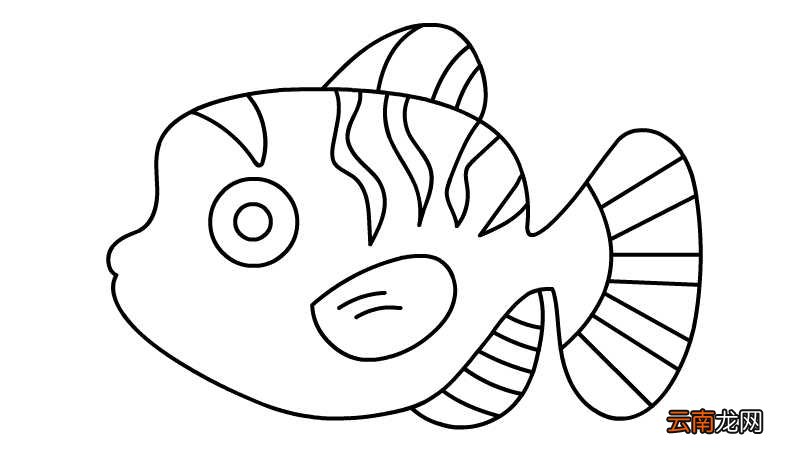 小丑鱼简笔画的画法小丑鱼简笔画怎么画