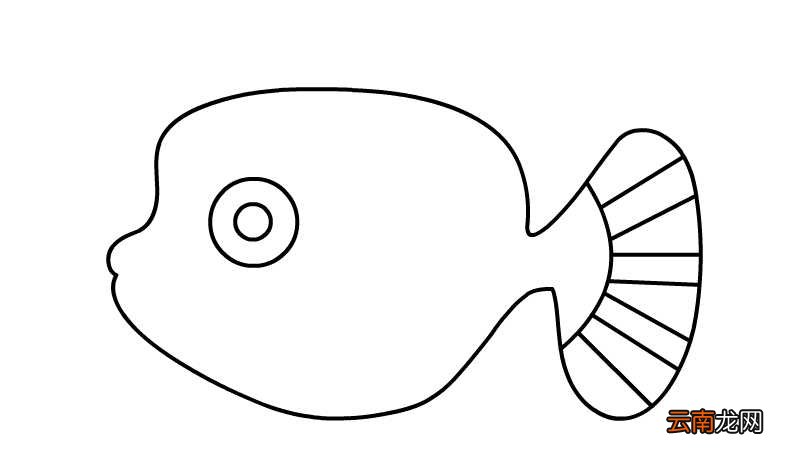 小丑鱼简笔画的画法小丑鱼简笔画怎么画