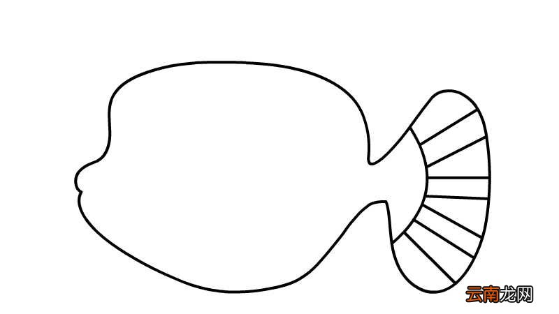 小丑鱼简笔画的画法小丑鱼简笔画怎么画