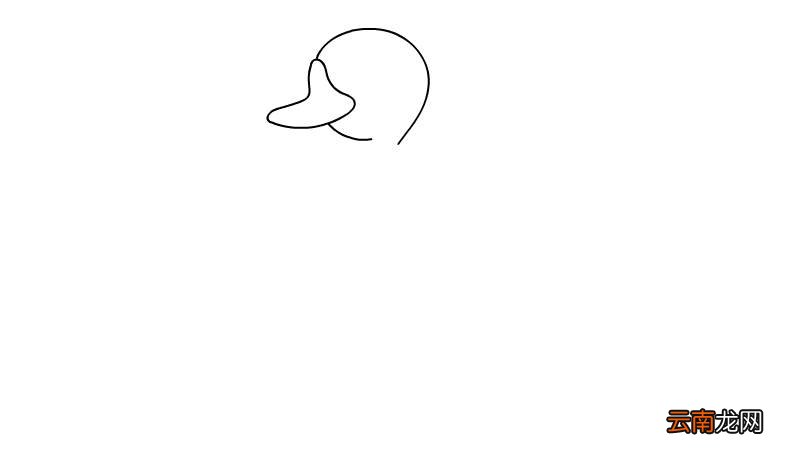 小鸭子简笔画 小鸭子简笔画画法