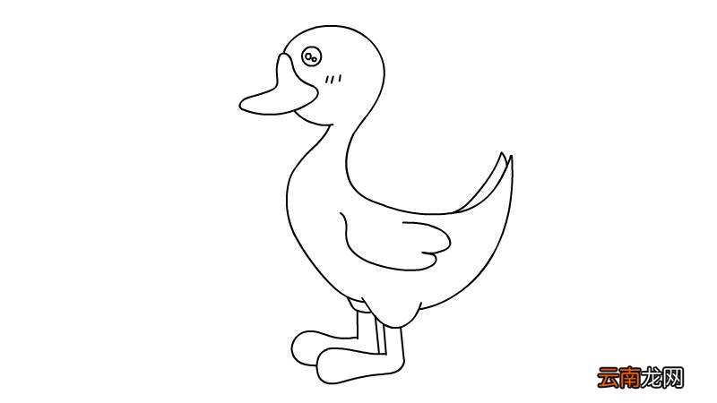 小鸭子简笔画 小鸭子简笔画画法