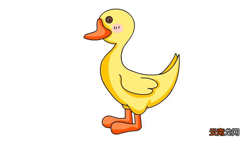 小鸭子简笔画 小鸭子简笔画画法