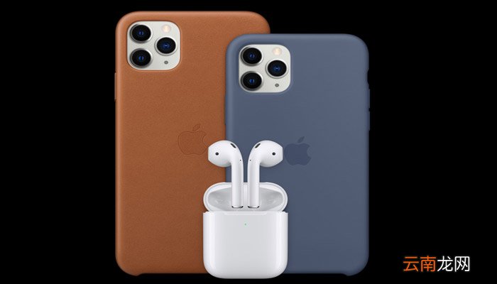 苹果11可以录几个面容 苹果11能录几个面容